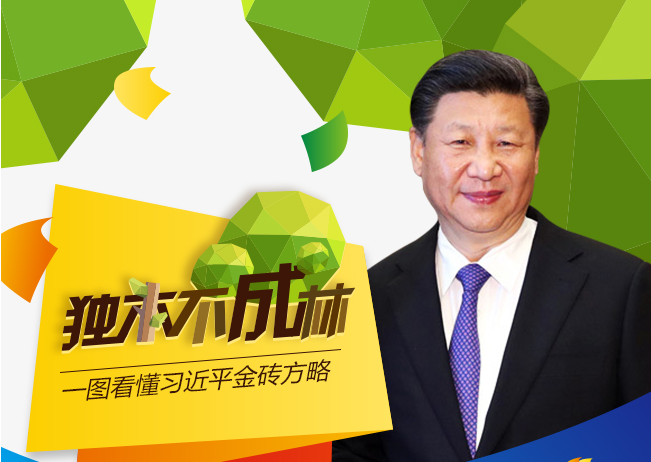 独木不成林 一图看懂习近平金砖方略